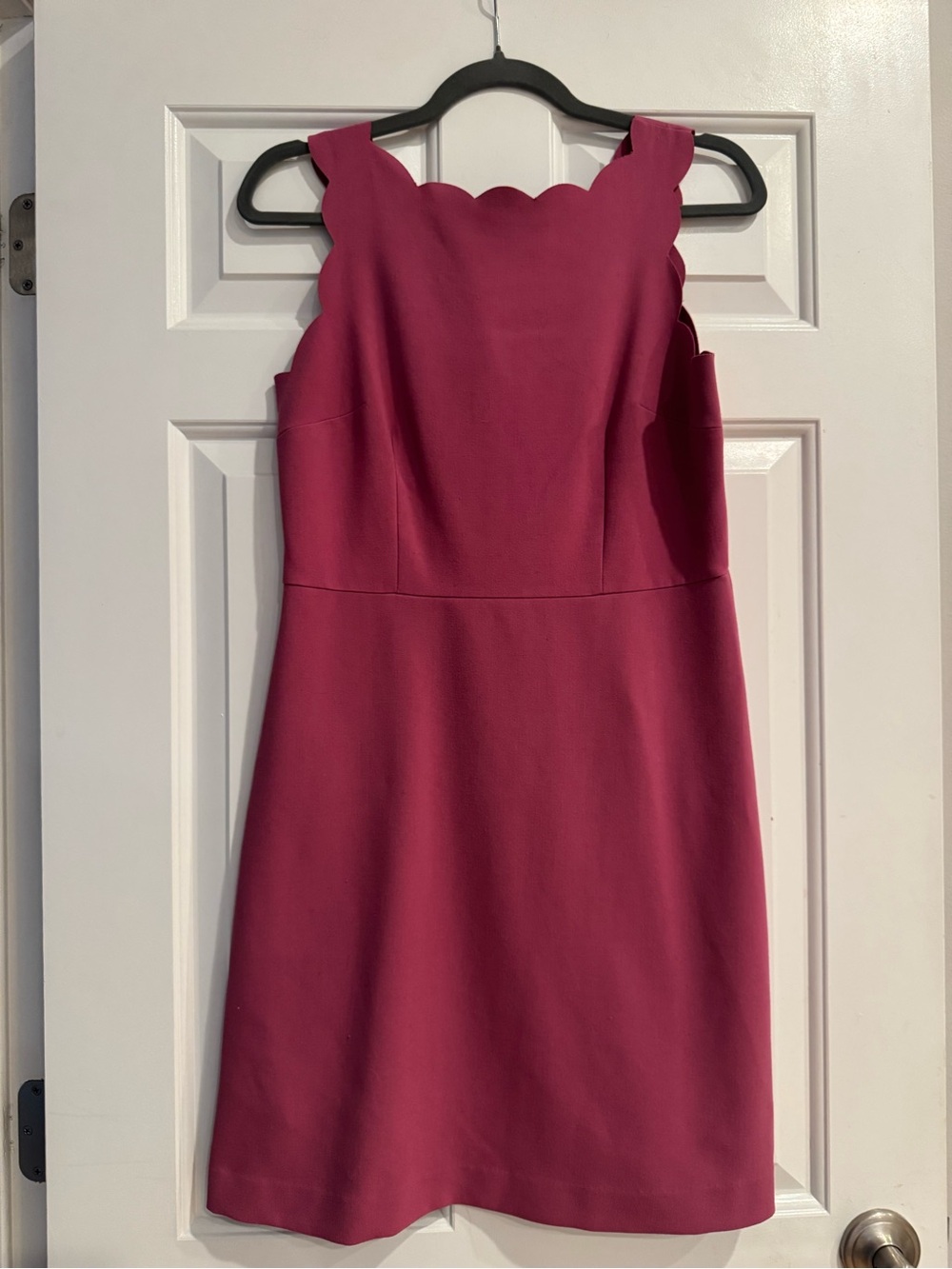 LOFT Raspberry Scallop Sheath Dress - Picture 4 of 6